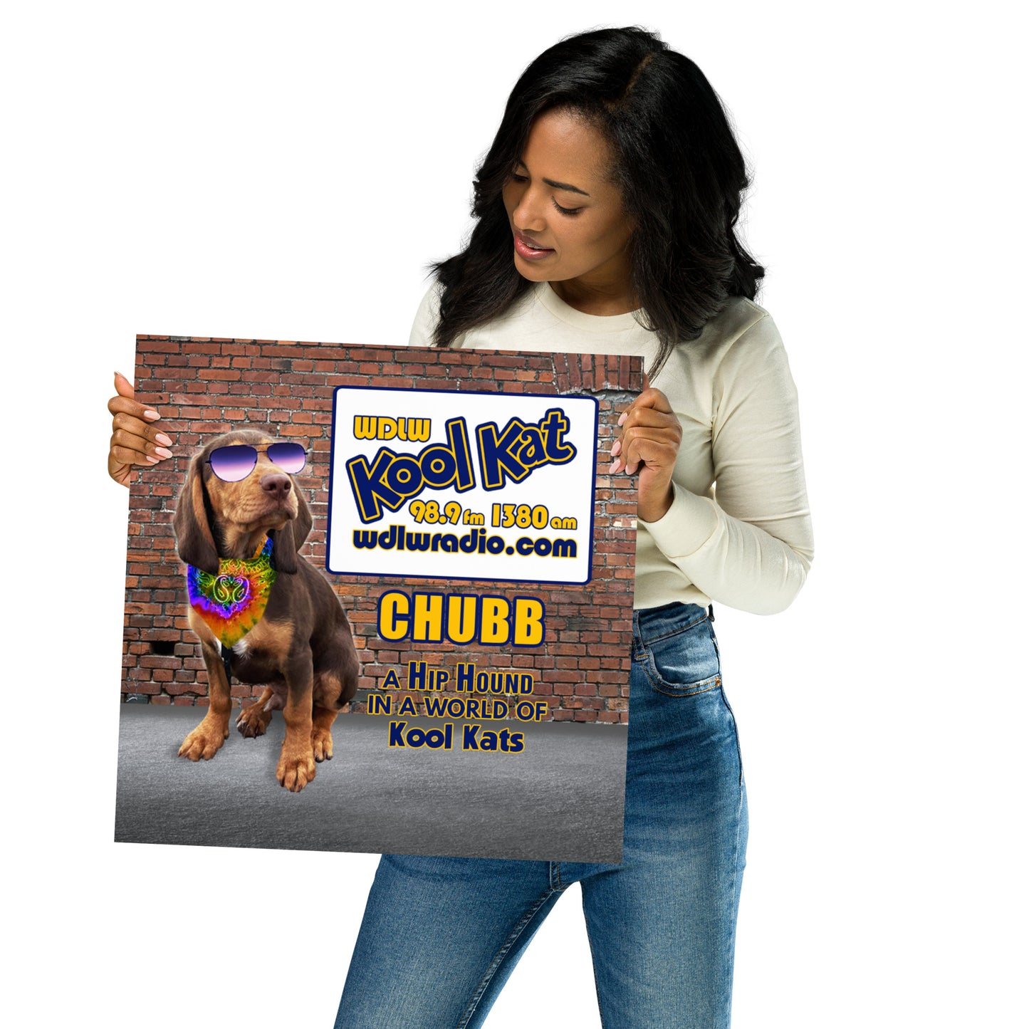 Poster Chubb Poster 1