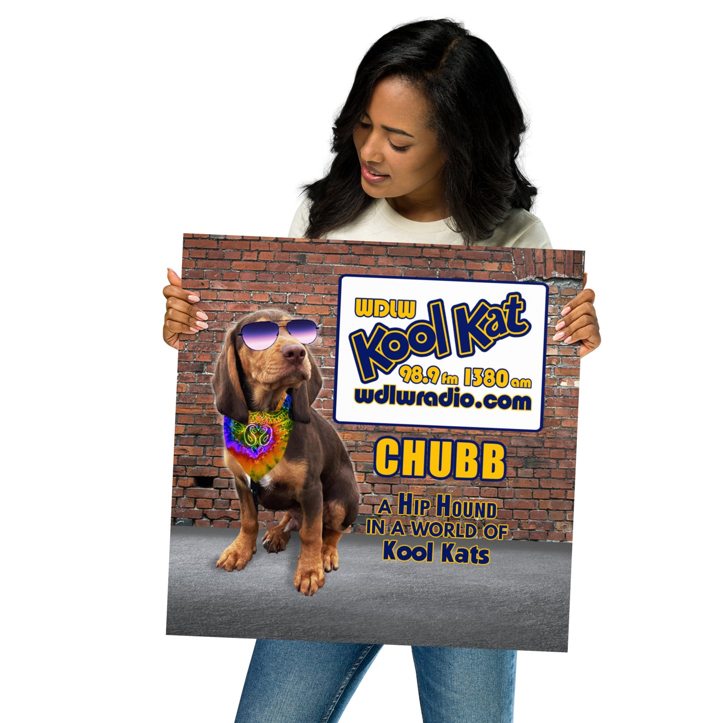 Poster Chubb Poster 1